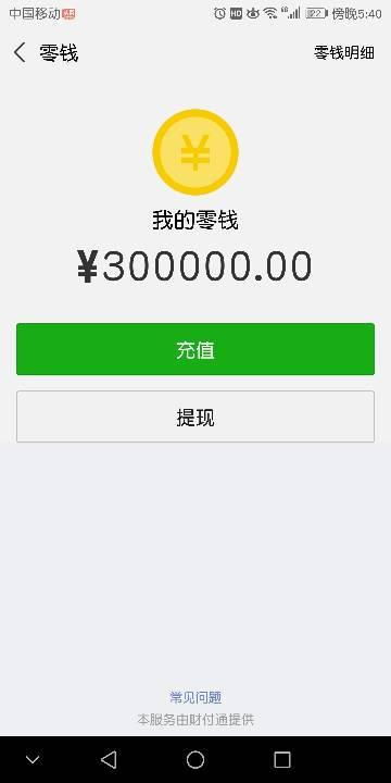 求一张三十万存款余额的图,支付宝微信都行