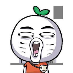 在男生女生多的学校上大学是一种什么体验