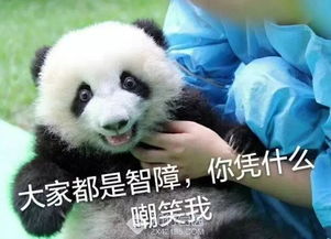 熊猫举手表情包小灰灰