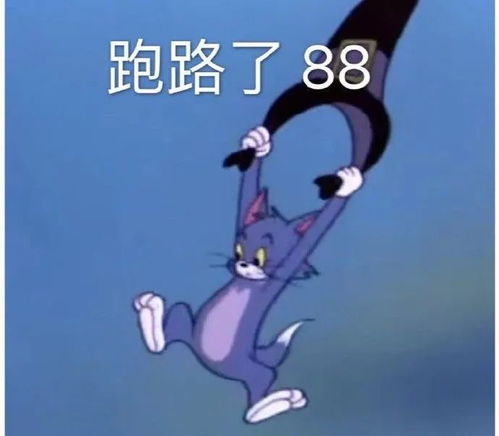 炸了炸了厨房又炸了