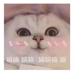 要生活费表情包视频嘻嘻