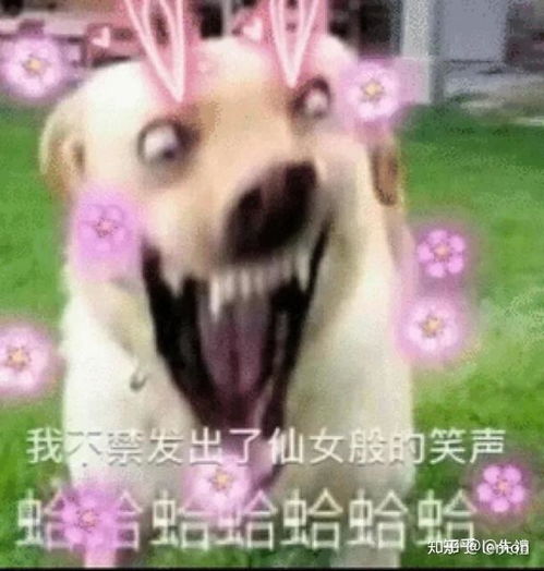 如何能从30的英语分提到及格