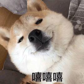 表情包破解版起诉