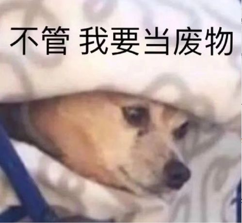 她是为了不被财阀看上才故意放飞成这样的吗