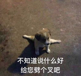 鸡你太美图片表情包刘特佐