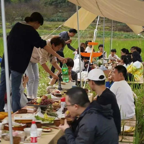 小海狸动态表情包