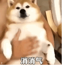 点墨tv欢迎乘坐本次航班,带你直飞金柯桥中秋晚会现场
