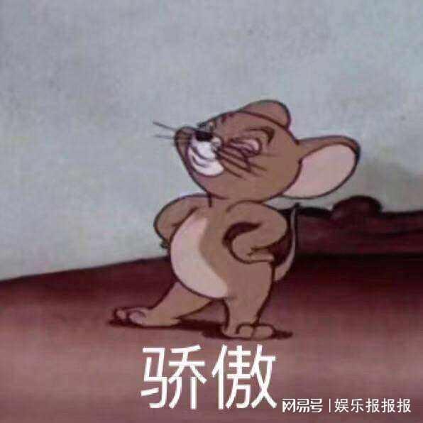 大半夜笑出猪声表情包表情包