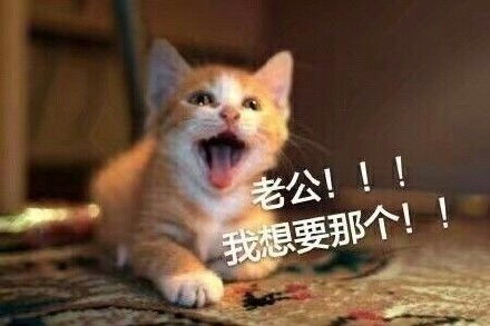 等一下,我老公呢是个什么梗