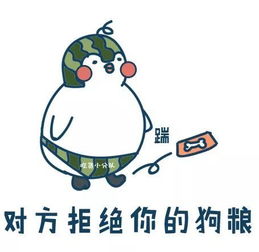 今天能陪你的,也就这些表情包了