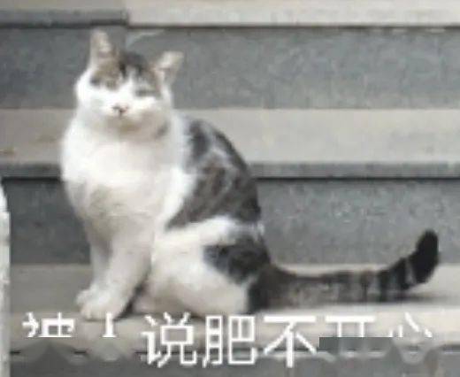 中国人民大学专属表情包