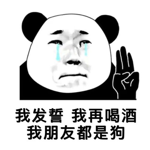 表情包我发誓