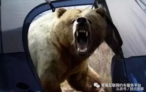 意外发生前一瞬间拍下的照片,你能坚持看到最后么