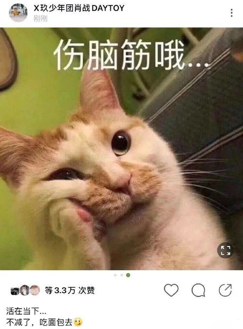 减肥中的肖战发活在当下,再次使用沙雕表情包,暗示近期心态