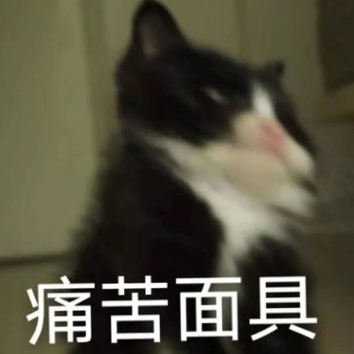 表情包我恋爱就三个要求