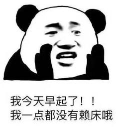熊猫头表情包小朋友,你过分了