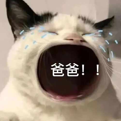 妈宝女快快用起来吧