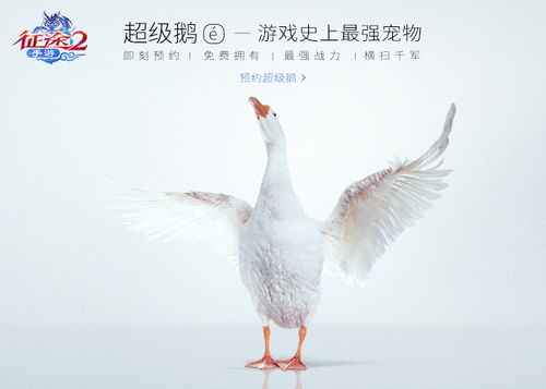 史上最强游戏宠物超级鹅预约今日开启