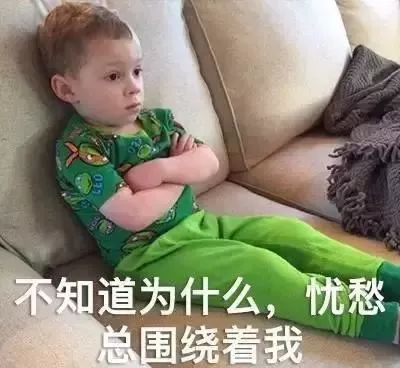 坏消息这一周每天都很