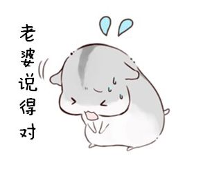 接住老婆的表情包
