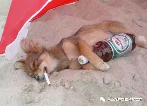 这个春节,你过得怎么样