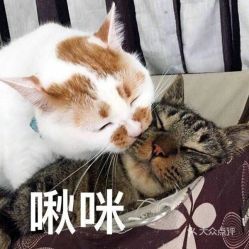 电话地址价格营业时间银泰城面包甜点团购合肥美食