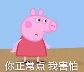 大半夜笑出猪声表情包佩奇