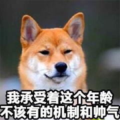 超级可爱的萌宠表情包,宠控一定会喜欢