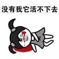 41.6蚊子被热死蚊子这个国家太特么热了