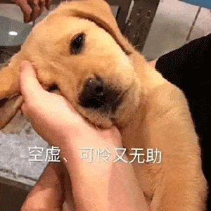 近期热图表情精选