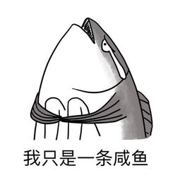 当代年轻人的社交秘密你对我有多重要,取决于我找你聊天的频率