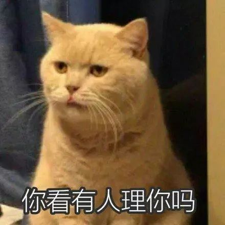 迎新晚会迎新晚会抢票21点准时开始哦