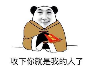 污大人向你丢了一大波肉体,并强制你收取