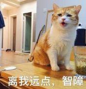 严宽要当爹了他真是九世智商换一世颜,堪称行走的低能宠妻狂魔