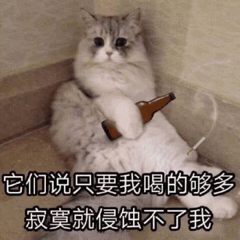 在广建,舍友恋爱前vs恋爱后