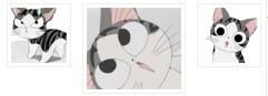 这两只猫咪叫什么