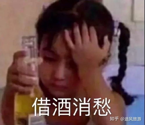和自己喜欢的女生单独出去旅行十天,她知道我喜欢她,我应该怎么做才能给人好感,增进感情,甚至确定关系,