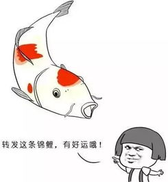 表情包加好友点赞转发...用英语该怎么说