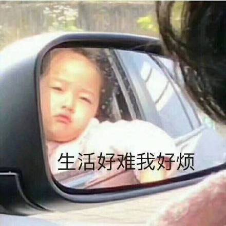 猛猪哭泣哭泣猛猪表情