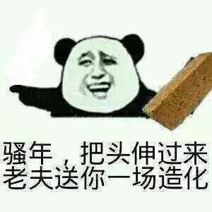 2017中国最火的表情是什么2017最火表情包图片