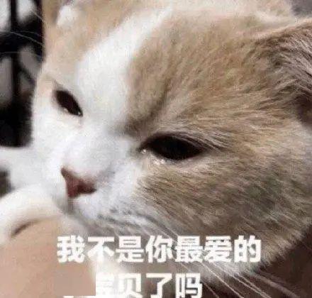 多图直击神兽回笼孩子开心家长舒心