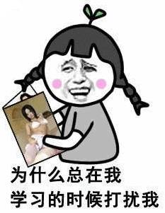 免费观影又来啦垫底联盟让苍老师遇到苍老师