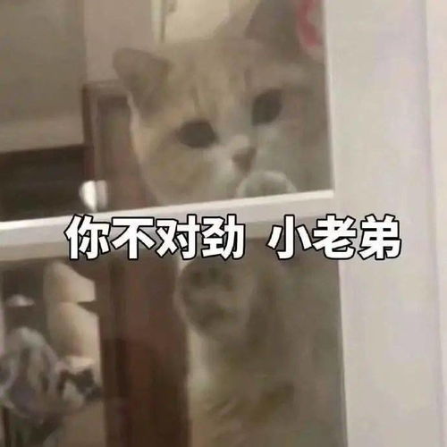 继奶死ig后,管泽元专访又出毒奶,粉丝们求求你闭嘴吧