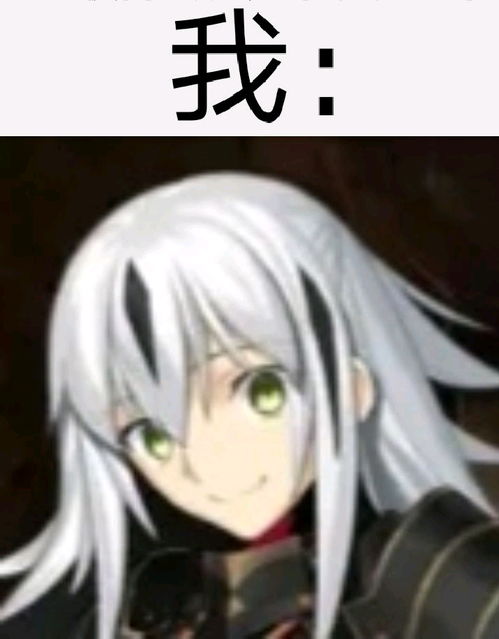 fgo表情包2长尾景虎专栏