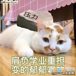 老娘化完妆就去撕你表情包图片给自己画个男朋友表情包下载乐游网游戏下载