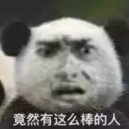 网购了一只乌龟,卖家却要给我退款