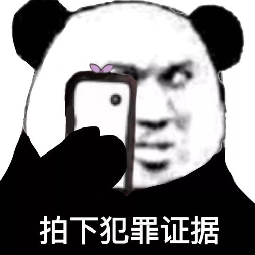 熊猫头表情包网恋选我,我超甜,骗人,骗感情,还骗钱