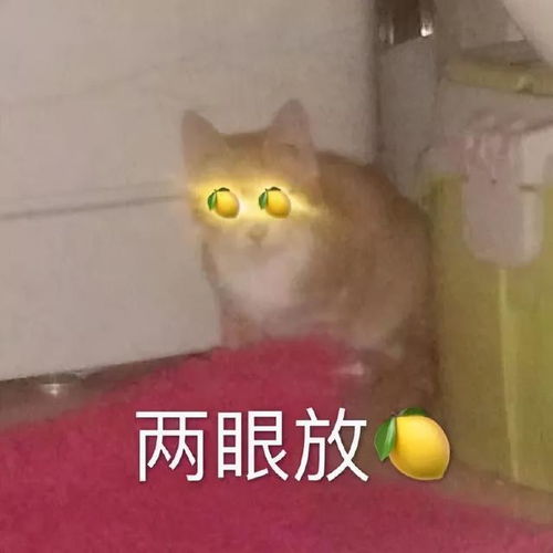 太酸了最高获利近500万,曾经的万人摇楼盘赚疯了