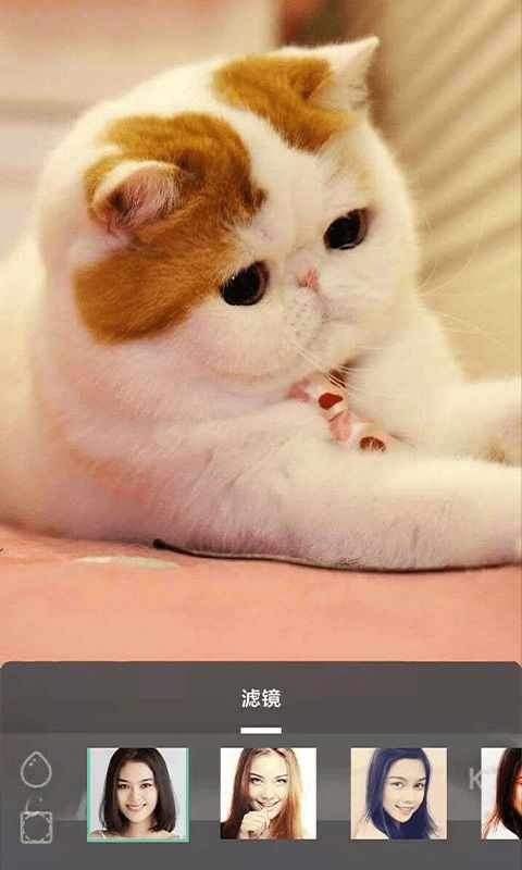 摸鱼鱼软件