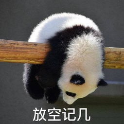 流口水的表情包熊猫摆摊